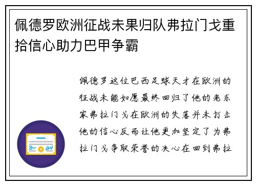 佩德罗欧洲征战未果归队弗拉门戈重拾信心助力巴甲争霸
